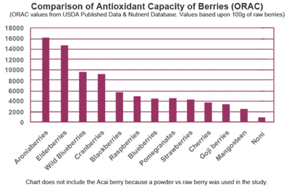 High antioxidant level of aronia berries